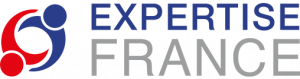 ex-FEI Expertise France