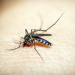 En Afrique, le paludisme de plus en plus résistant aux traitements